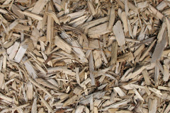 biomass boilers Lydcott